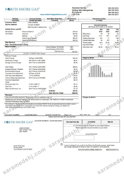 USA Illinois North Shore Gas utility bill template in Word and PDF format